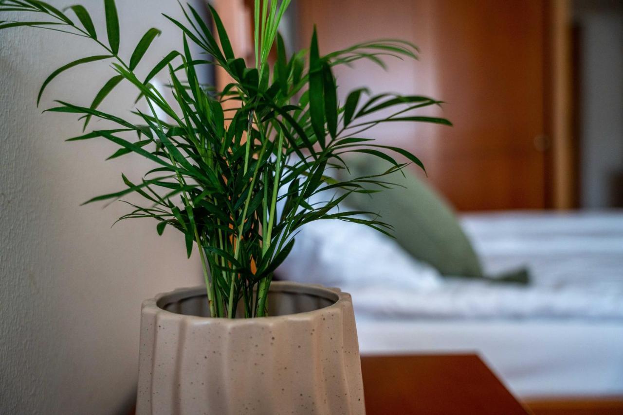 Lagoja B&B Trzin Kültér fotó